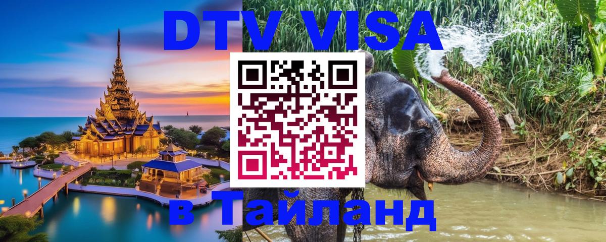 Оформление DTV визы под ключ: стоимость и тарифы, только загранпаспорт - 